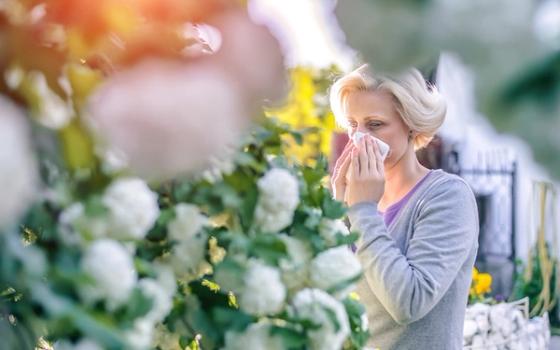 Derfor blir du forkjølet om sommeren Derfor blir du forkjølet om sommeren
