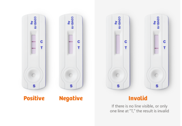 Positiv test har tydelig to streker, negativ test har tydelig én strek på C. Ved ingen streker eller strek ved merket T så er testen ugyldig. 