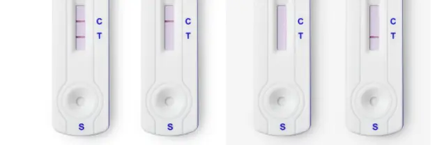 Positiv test har tydelig to streker, negativ test har tydelig én strek på C. Ved ingen streker eller strek ved merket T så er testen ugyldig.