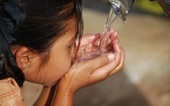 Tyfoidfeber Tyfoidfeber