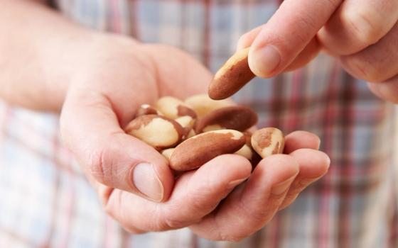 Matvareallergi og matvareintoleranse Matvareallergi og matvareintoleranse