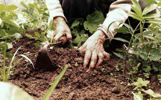 Stivkrampe Stivkrampe