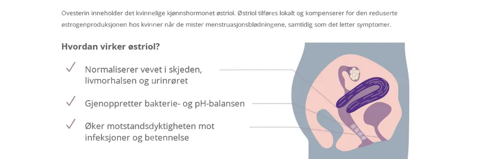 Illustrasjon av kvinnelig kjønnsorgan