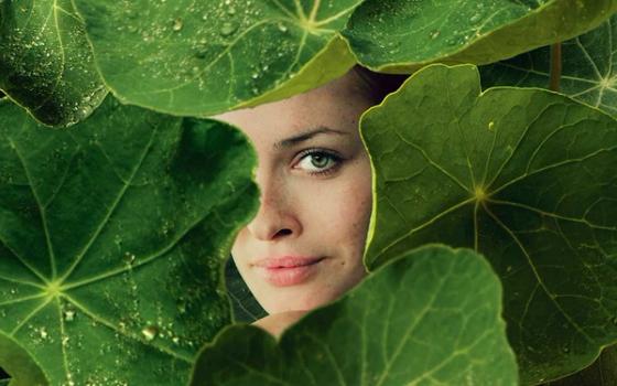 Økologisk og vegansk hudpleie Økologisk og vegansk hudpleie