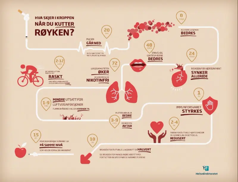 Illustrasjon som viser effekter av røykeslutt over tid