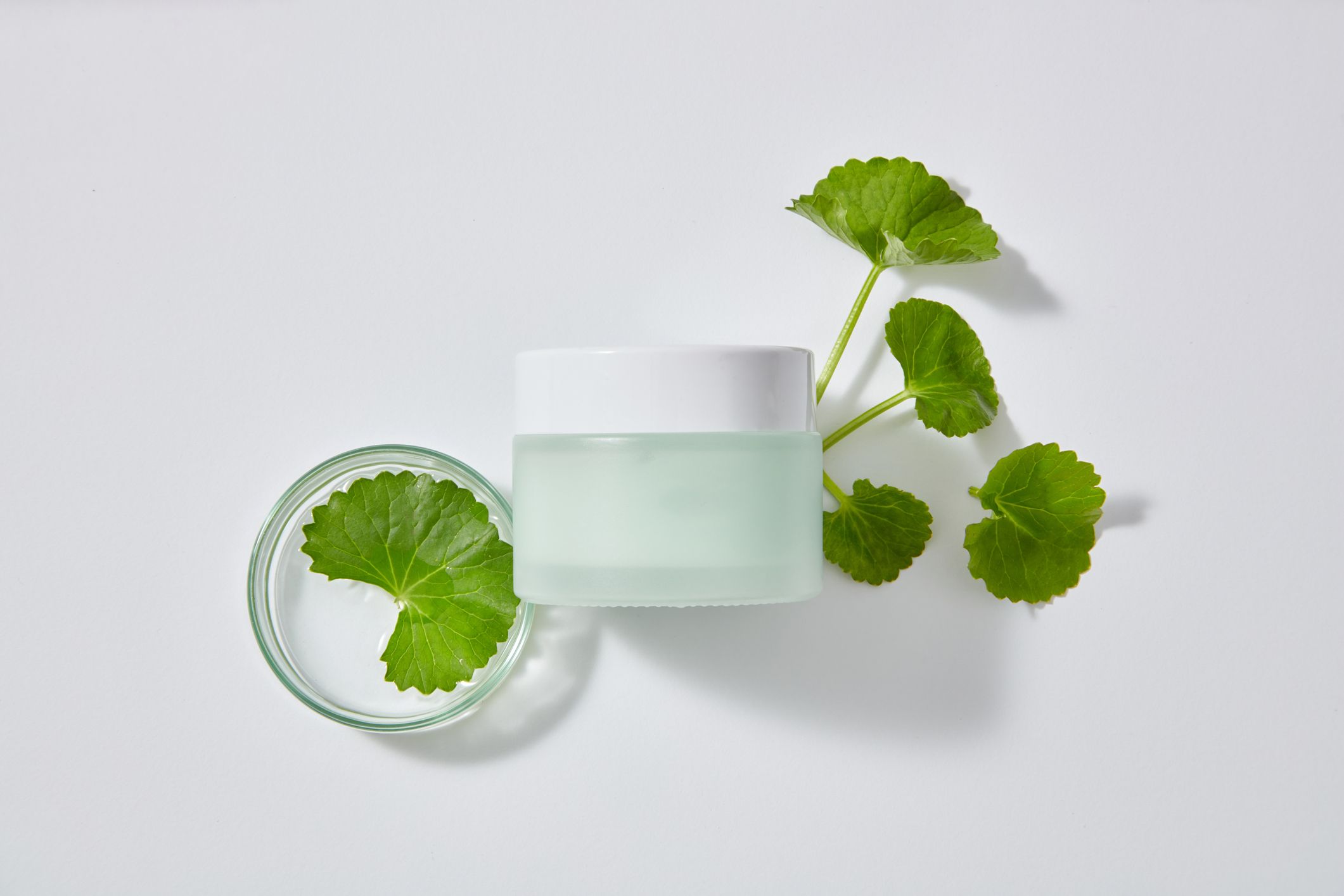 Cica (Centella Asiatica) i hudpleie