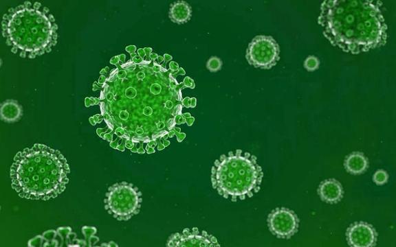 Koronavaksine og vaksinering