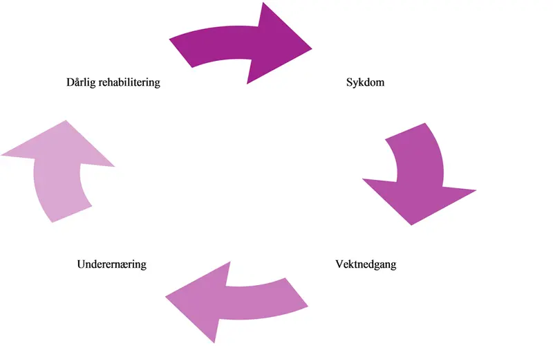 Figur med piler som går i en sirkel med sykdom, vektnedgang, underernæring, dårlig rehabilitering