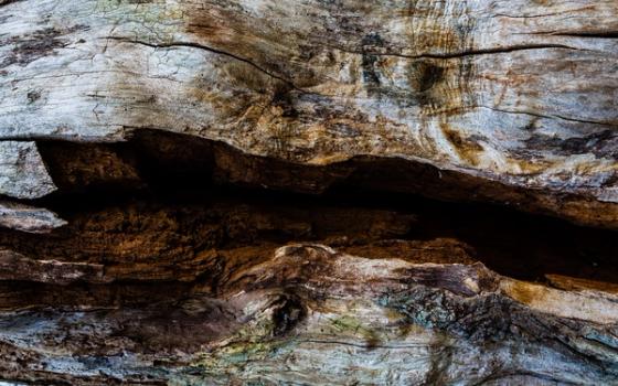 Vegansk hudpleie Vegansk hudpleie