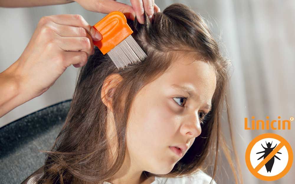 Det er tid for lusesjekk!