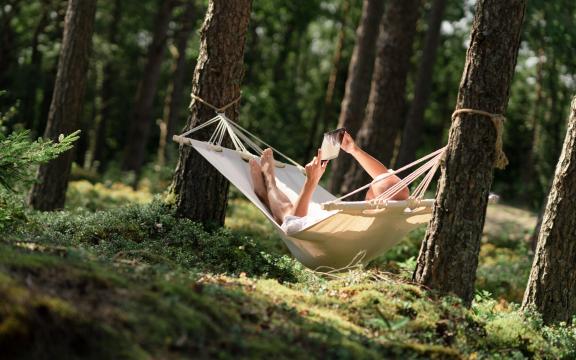 Hjemmeapoteket - hjelp mot stikk, bitt og sommerplager