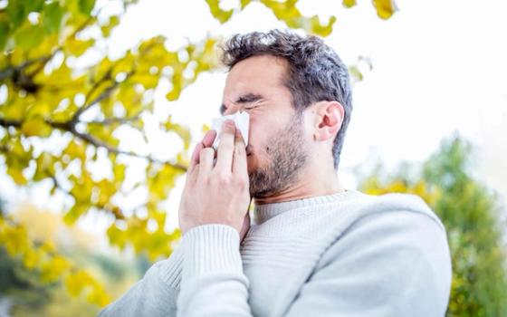 Er det koronavirus eller pollenallergi? Er det koronavirus eller pollenallergi?
