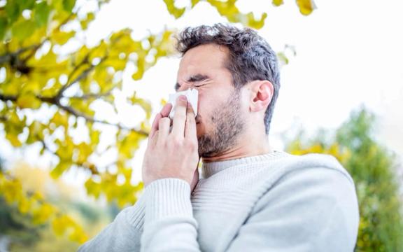Er det koronavirus eller pollenallergi?