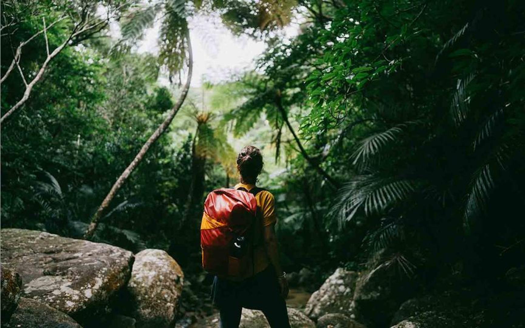En person med ryggsekk står midt i en grønn, tett jungel.
