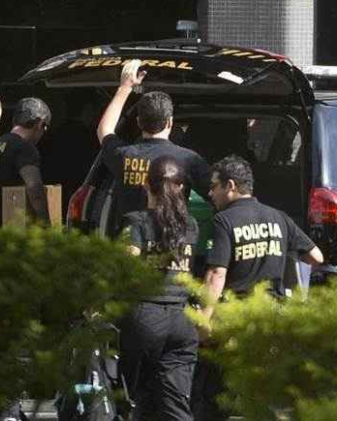 Imagem da matéria
