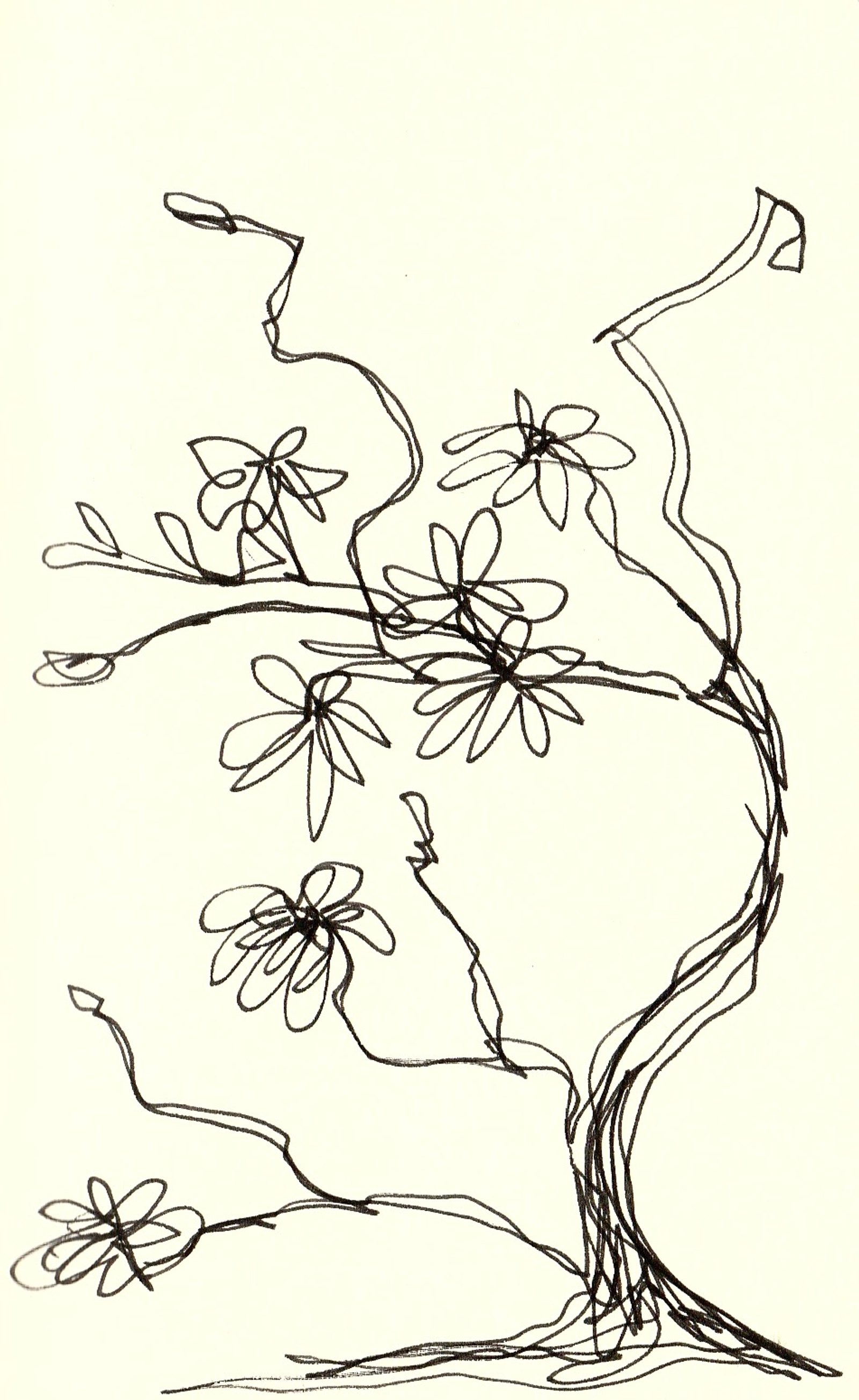 p75745