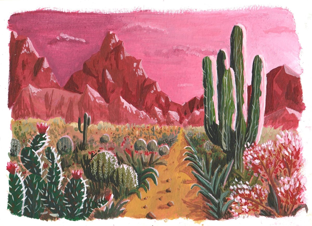 background of mountain and desert with cacti