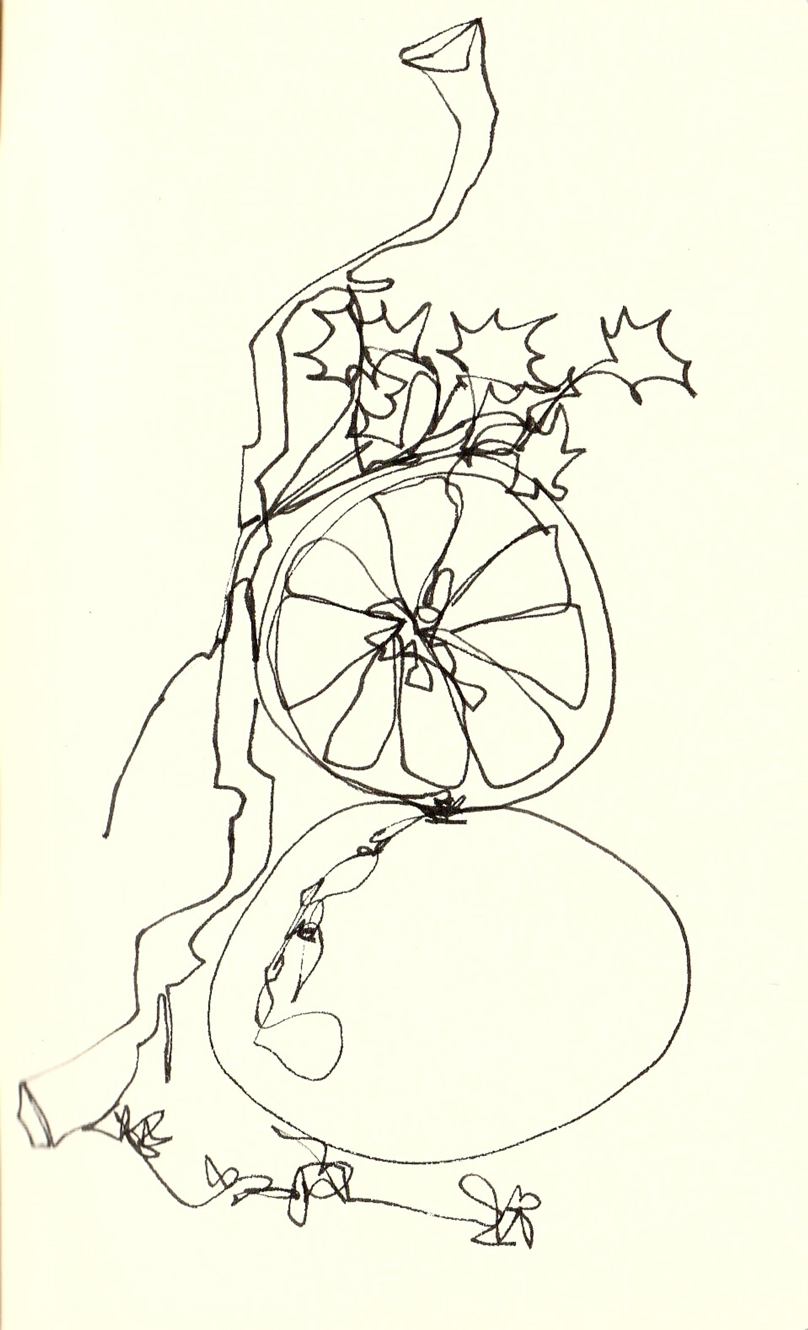 p645