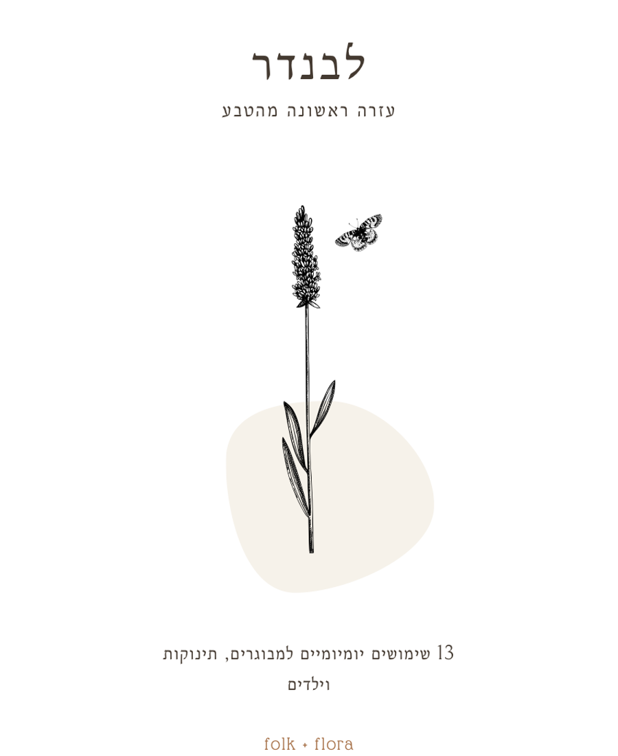 לבנדר: עזרה ראשונה מהטבע