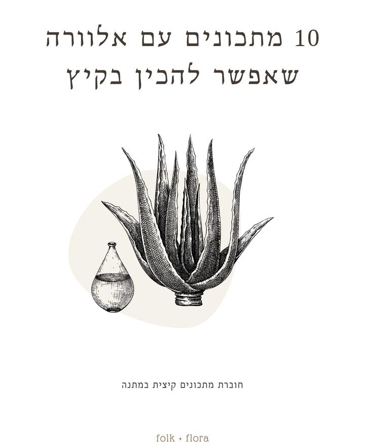 10 מתכונים עם אלוורה שאפשר להכין בקיץ