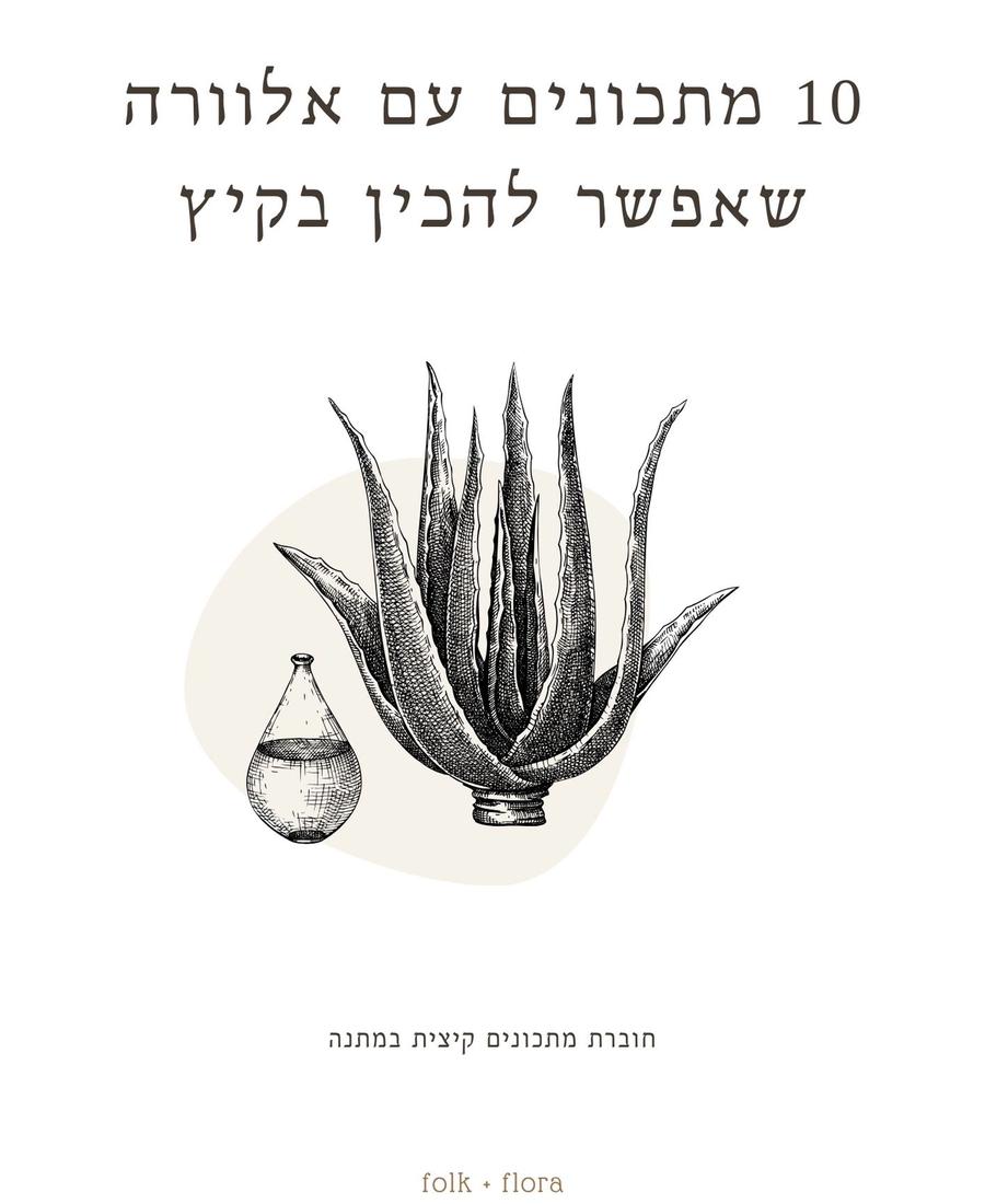 10 מתכונים עם אלוורה שאפשר להכין בקיץ