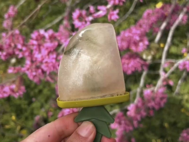 ארטיק פרחי סמבוק ומנטה: פתרון מתוק לאלרגיות האביב
