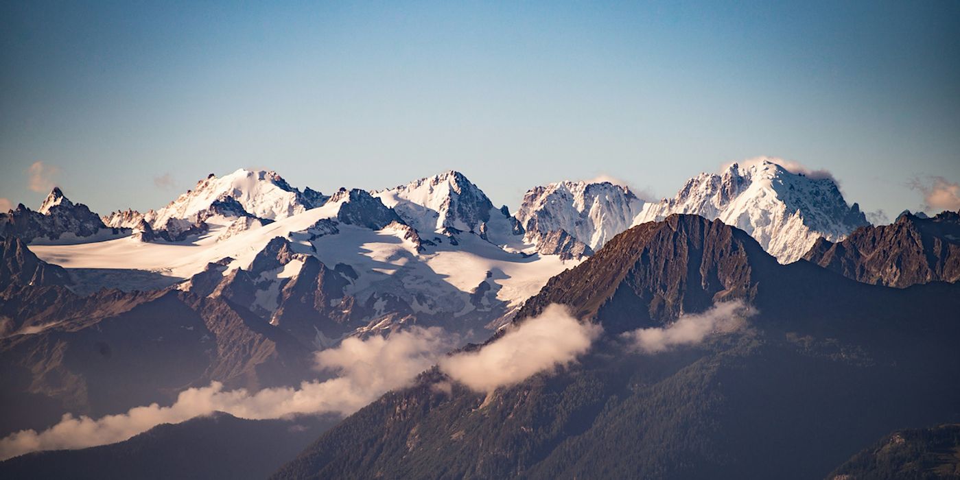 Top 15 Landscaping Contractors in Washington, DC