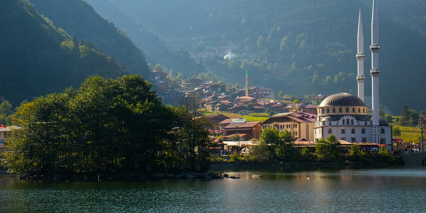 Top 15 Landscaping Contractors in Atlanta, GA