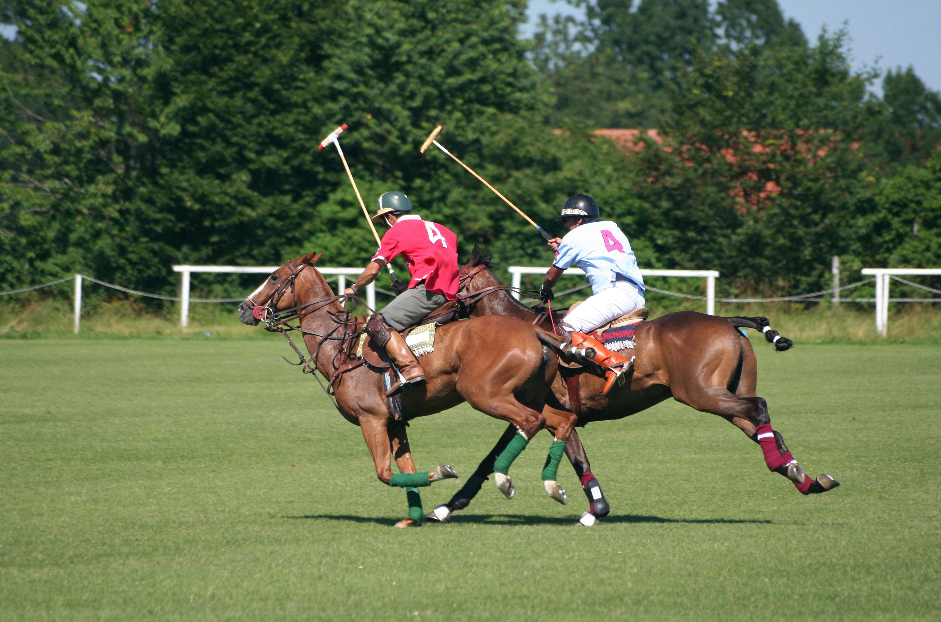 Polo