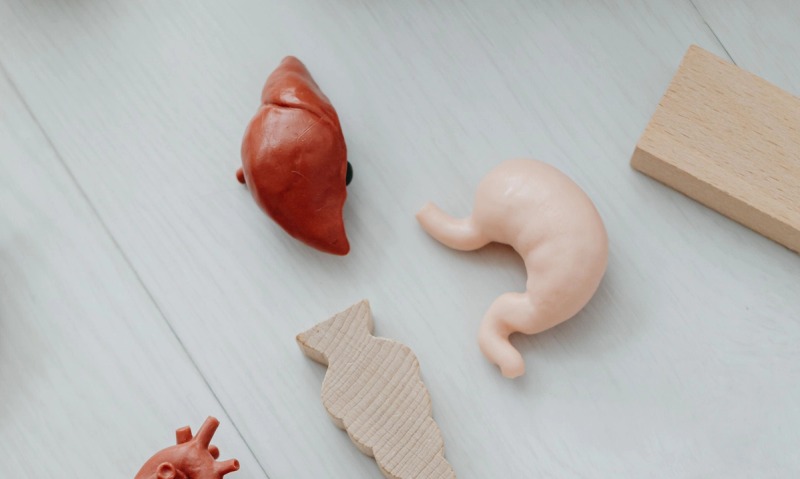 Liver Disease Evaluation