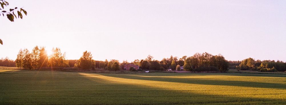 Photo by a field lit by setting sun.