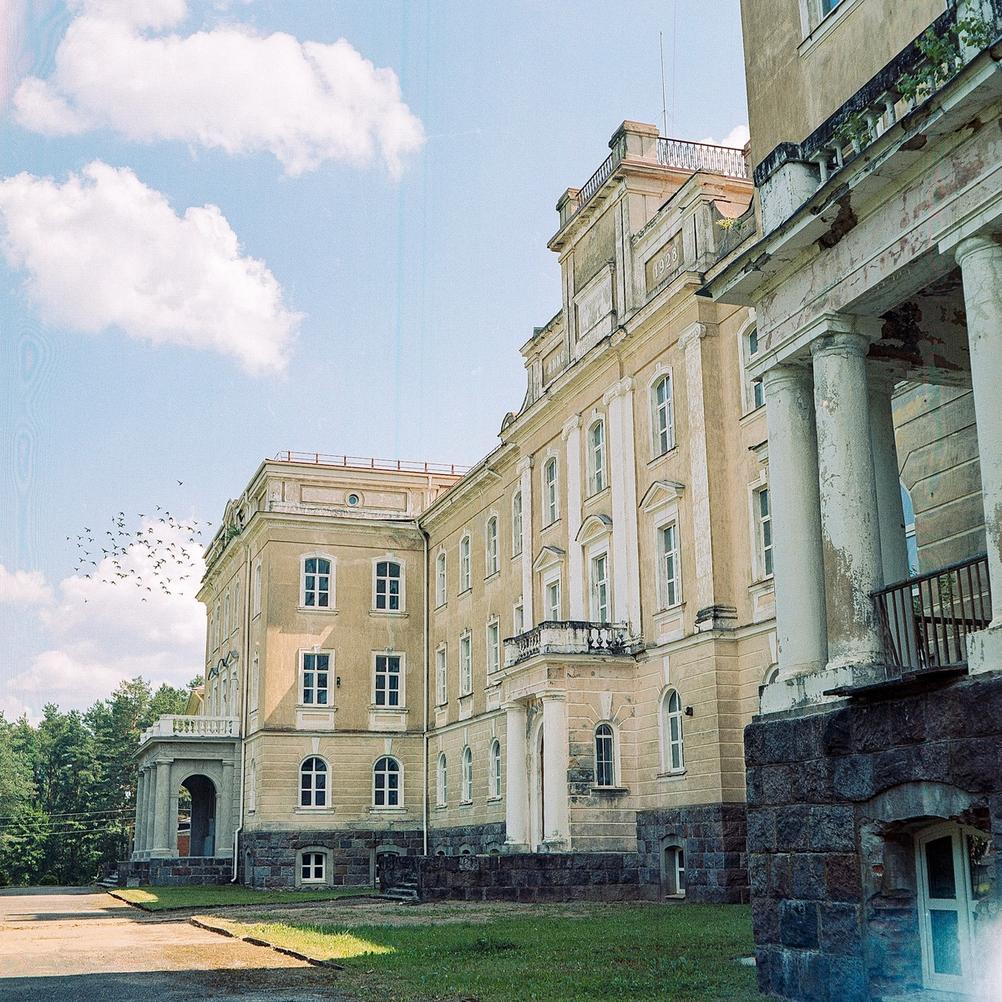 Photo of a large mansion with a flock of birds flying in the distance.