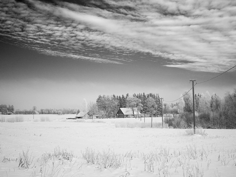 Wintery landscape scene taken with an infrared camera.