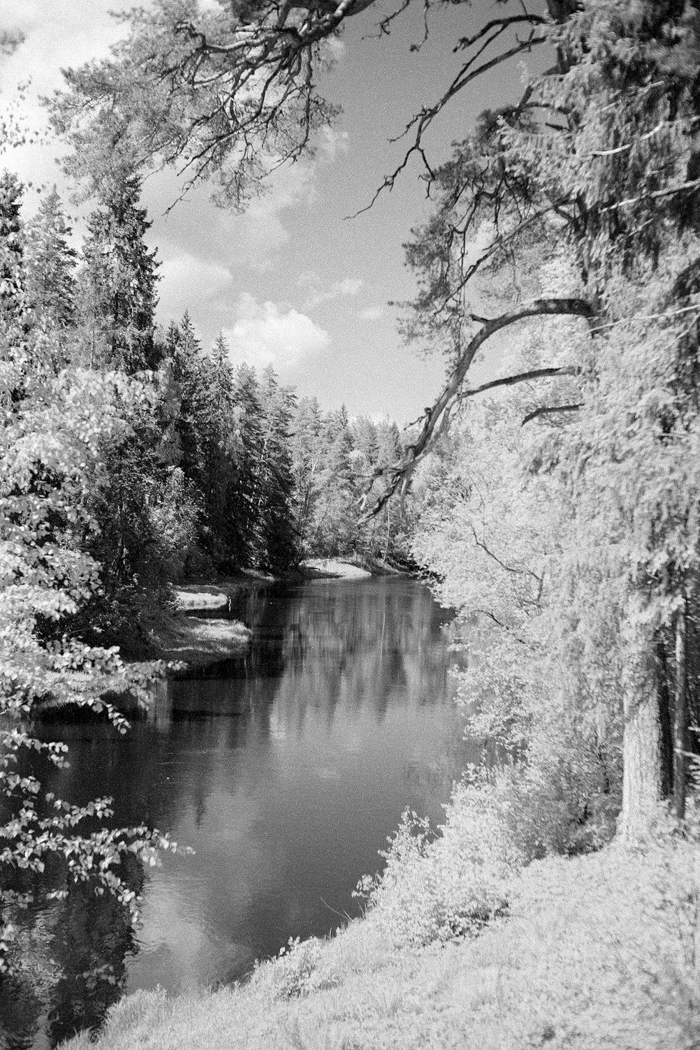 Photo of a river with trees on each side.