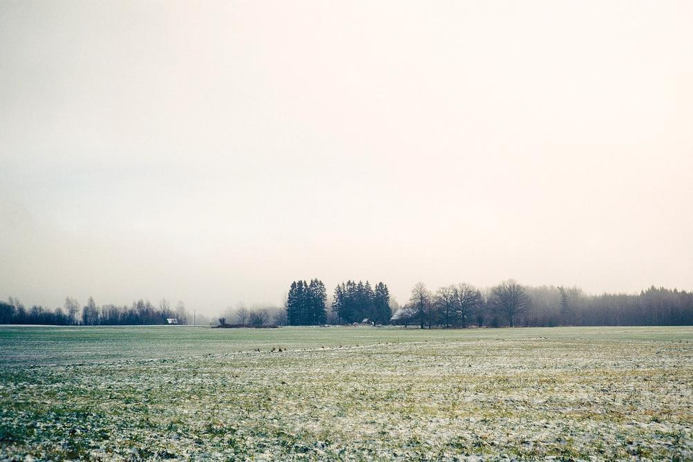 Photo of a rural scene in mist.