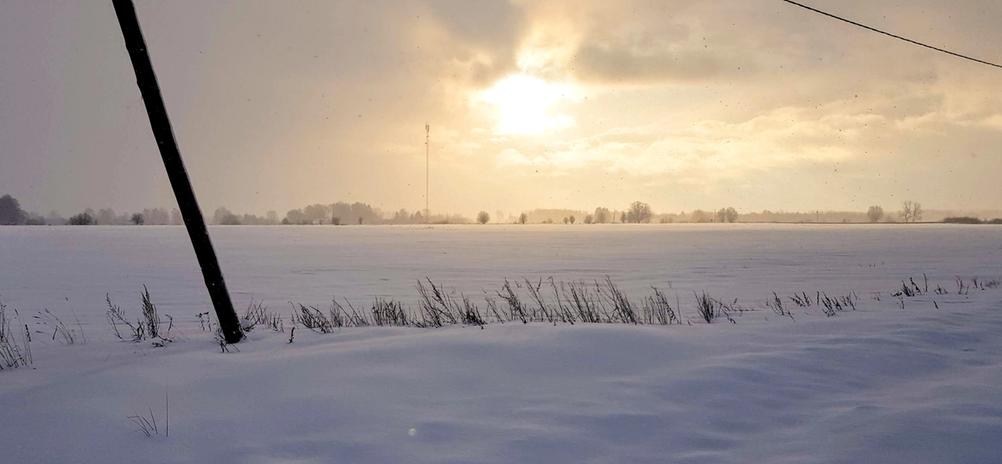 Photo of sunny winter.