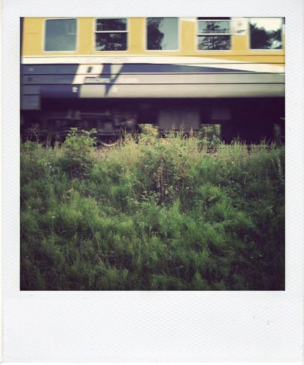 Photo of a moving train with grass in the foreground.