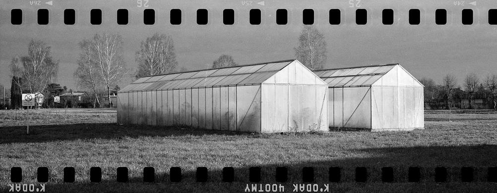 Black and white photo of two greenhouses.