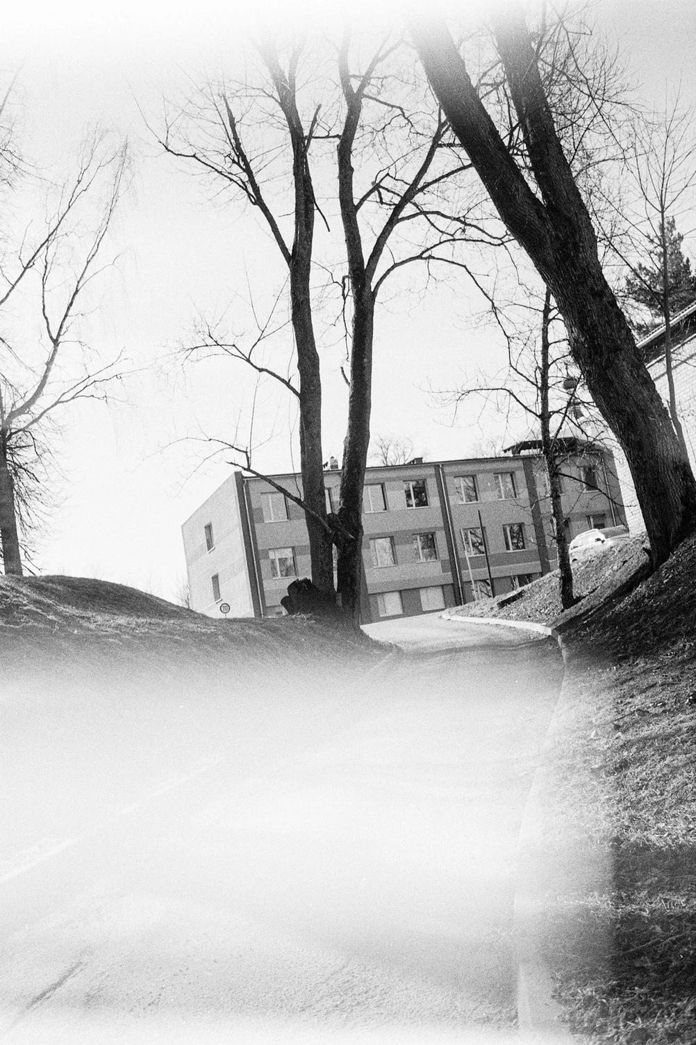 Photo of a road leading to a house.
