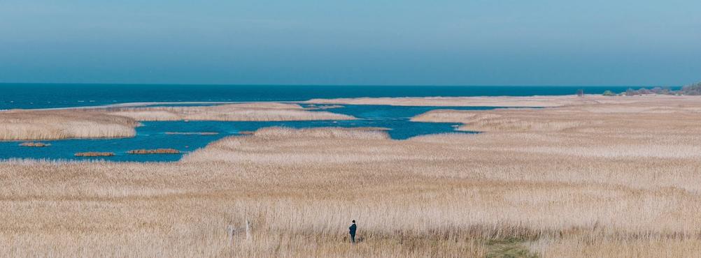 Photo of a single man in a large field of grass with sea in the distance.