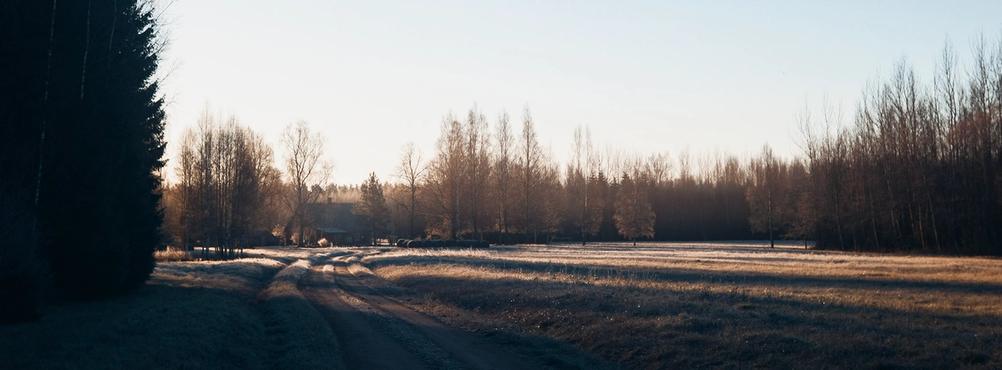 Photo of a house in the distance with a small road leading to it during sunrise.