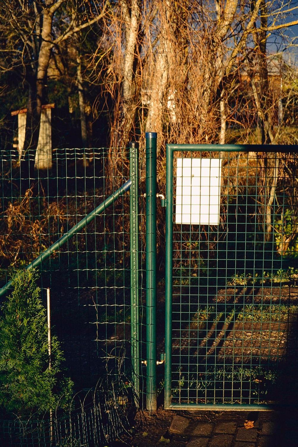 Photo of a green fence.