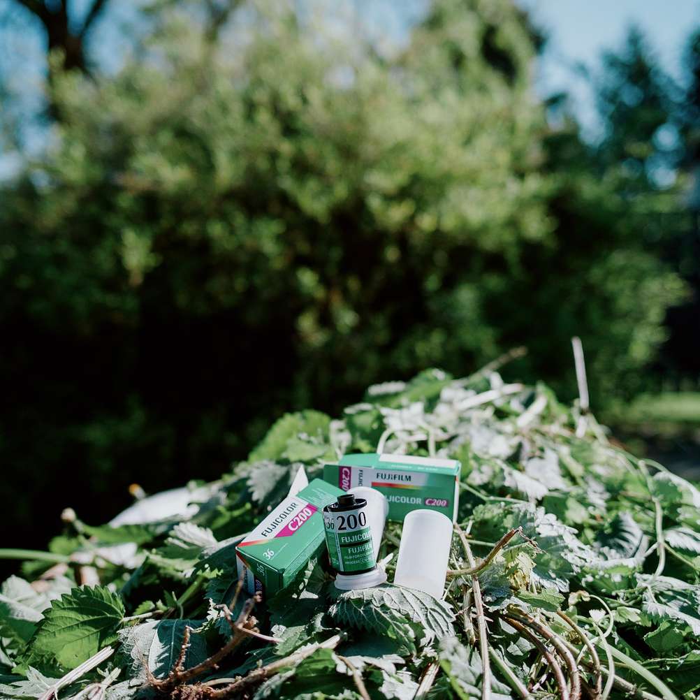 Photo of Fujifilm C200 film rolls surrounded by green colors.