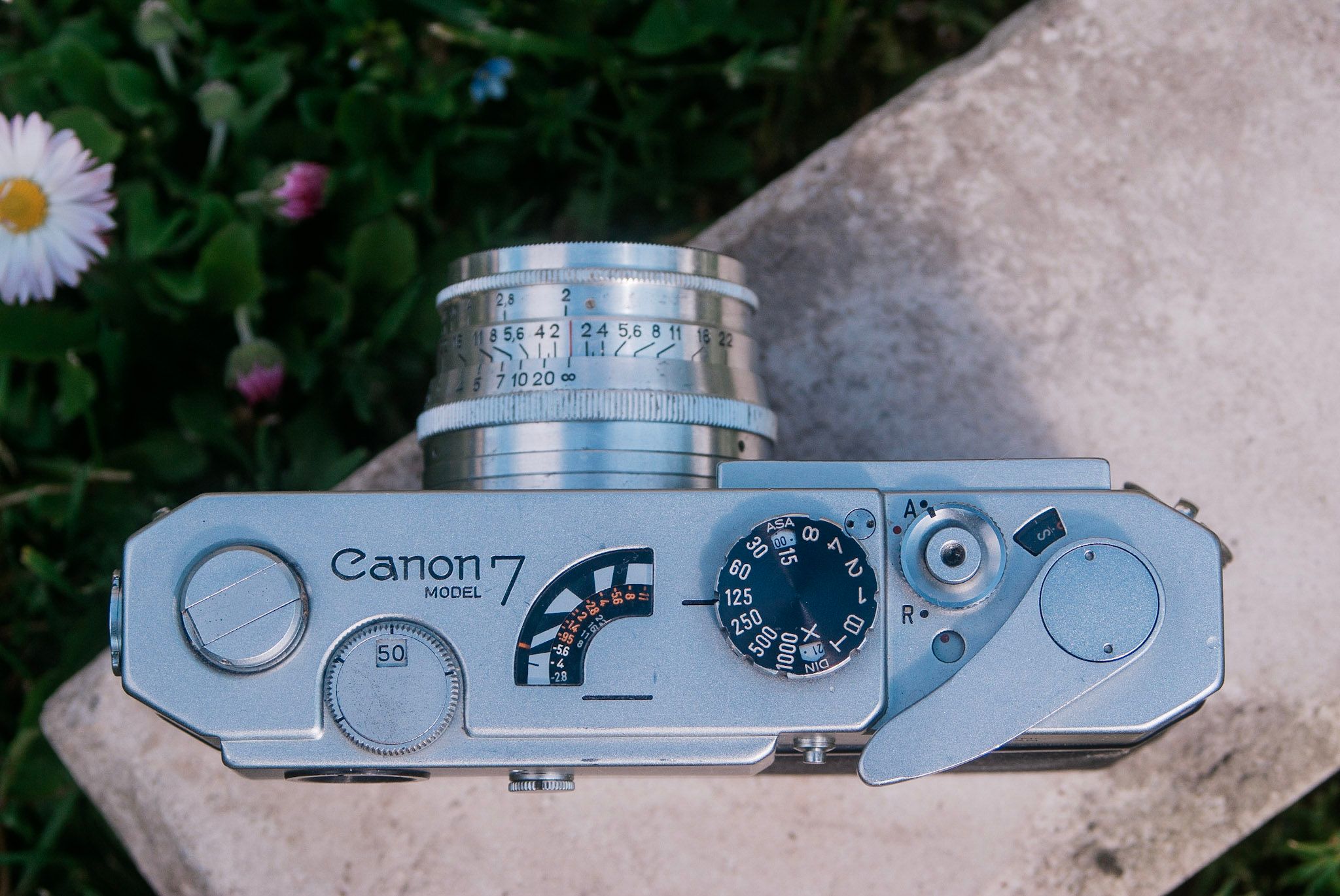 Ontkennen binnen Nebu Canon Model 7 LTM Camera Review - 50mmF2
