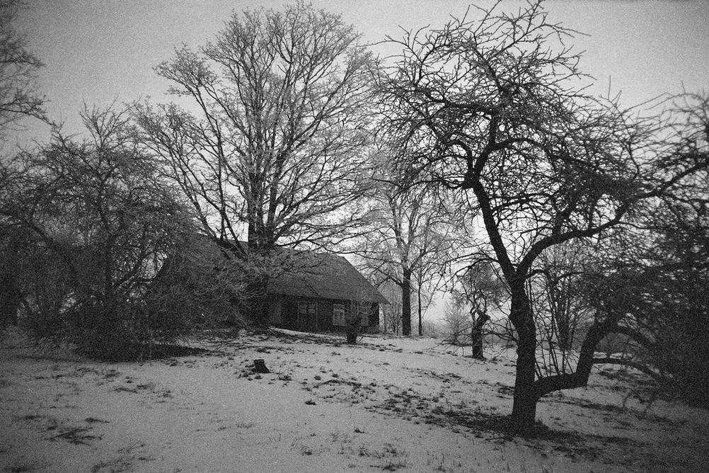 Black and white photo of a house with several trees around it.