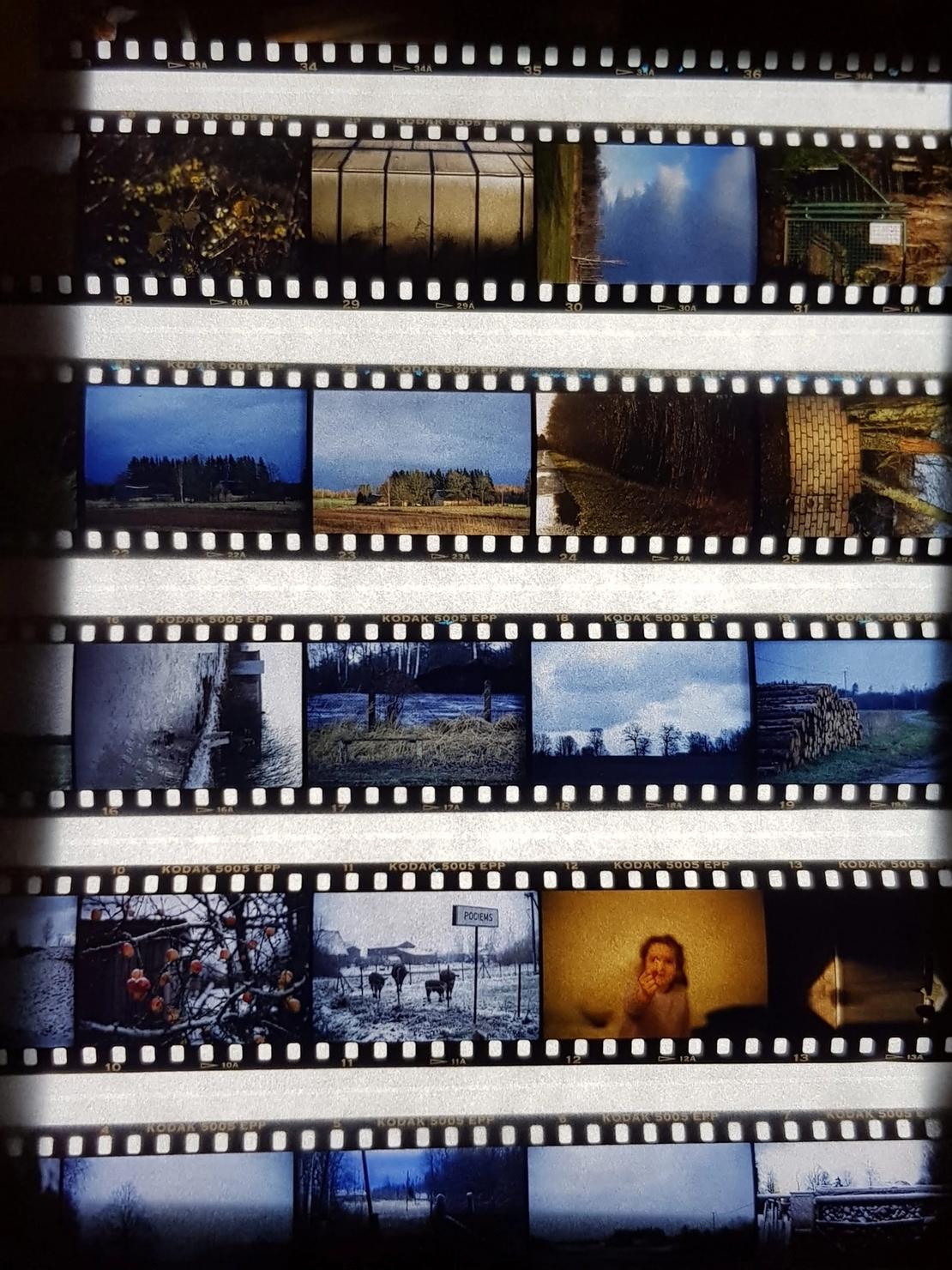 Contact print from slide film taken with a mobile phone.