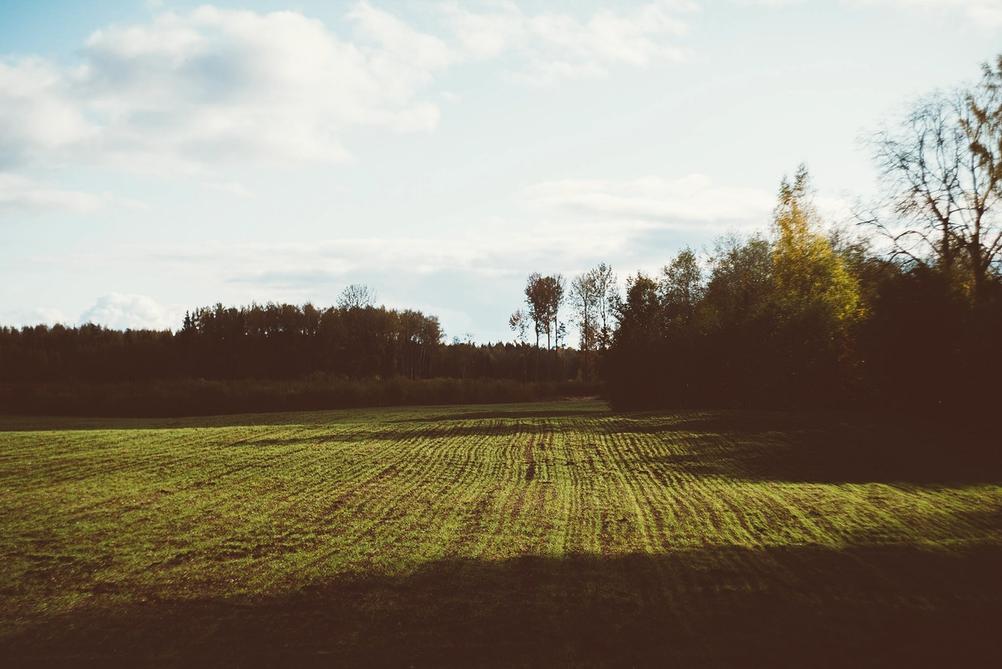 Photo of a field being touched by sun.