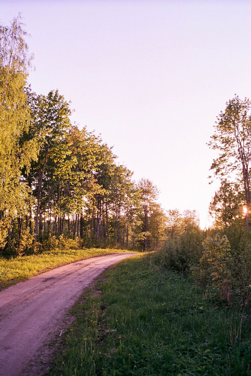 Photo of a road lit by setting sun.