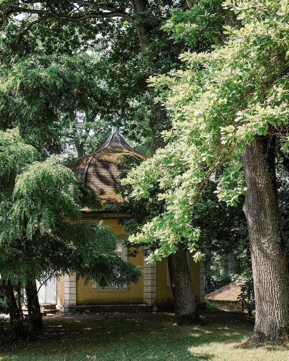 Photo of a weird building hidden in trees.