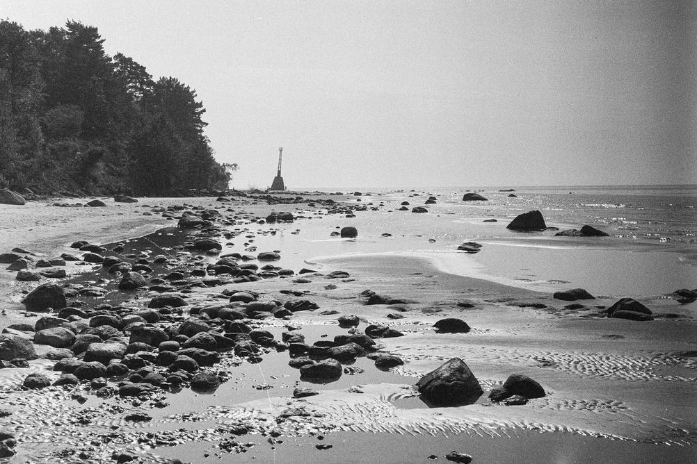 Photo of rocks on the beach.